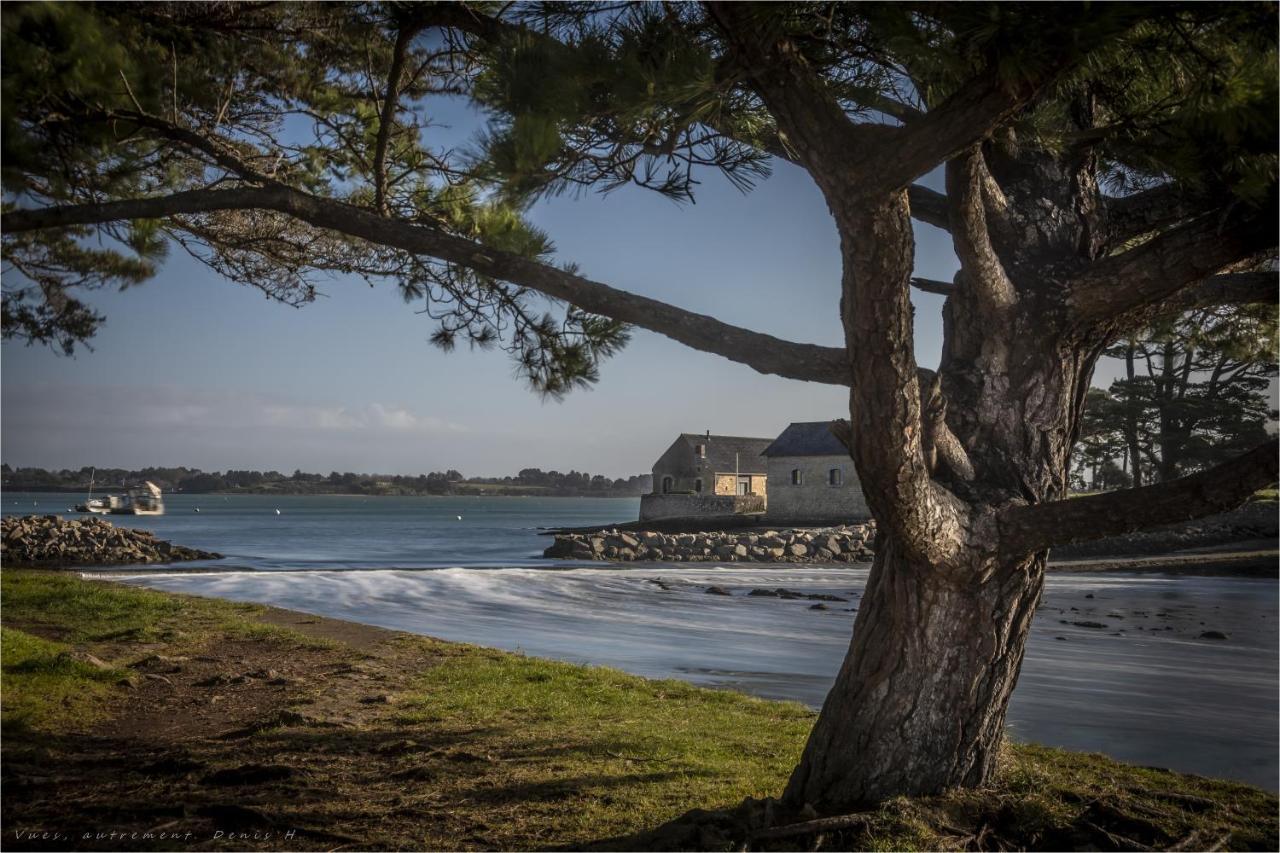 Les Villas De Locmiquel Bord De Mer بادن المظهر الخارجي الصورة